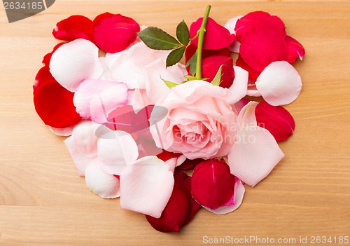 Image of Rose and petals in heart shape