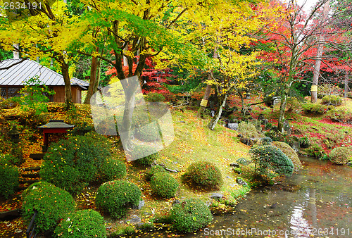 Image of Japanese garden