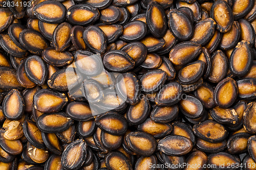 Image of Black melon seed