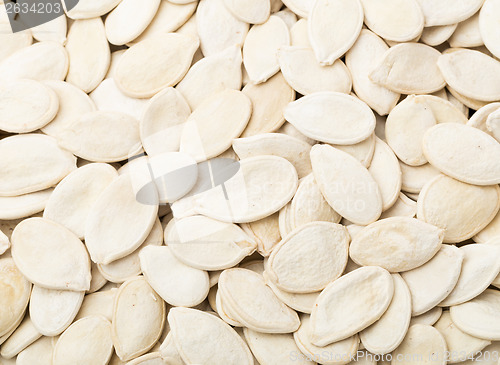 Image of Pumpkin Seed