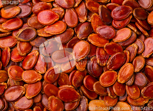 Image of Red melon seed