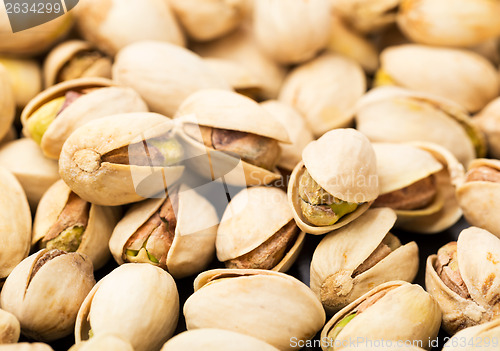 Image of Pistachio