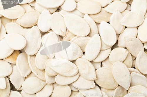 Image of White Pumpkin seed