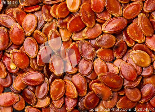 Image of Red melon seed