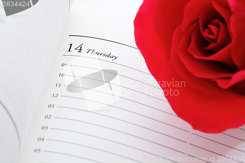 Image of Red rose on valentines day