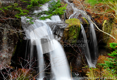 Image of Waterfall in forest