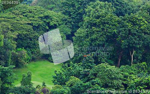 Image of Green forest from top view