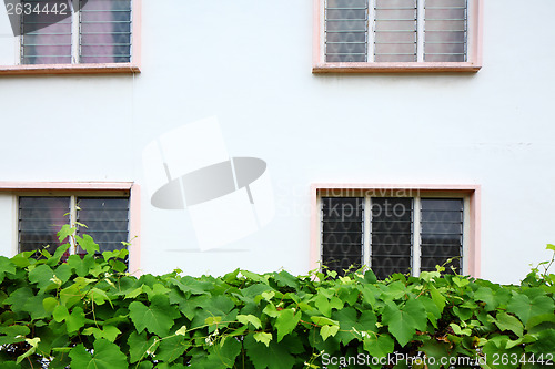 Image of Exterior of house with green plant