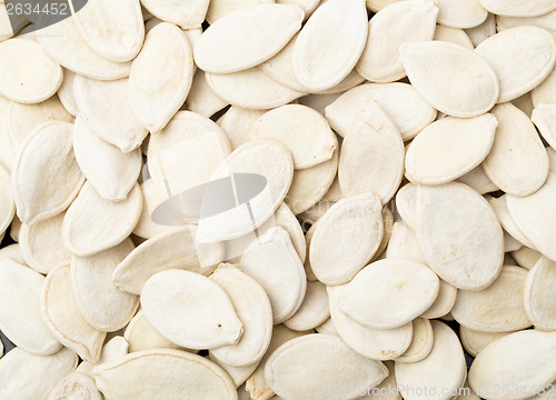 Image of Pumpkin seed 