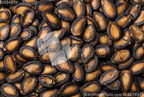 Image of Black watermelon seed 