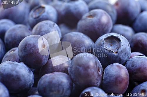 Image of Blueberry