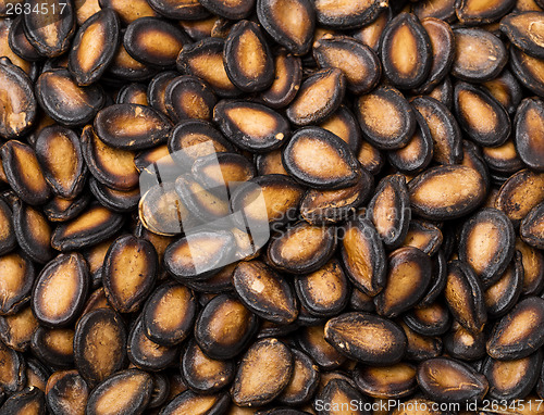 Image of Black melon seed 