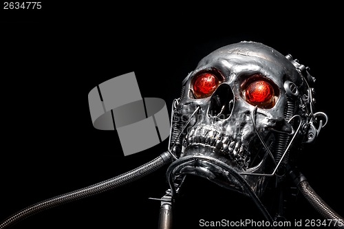 Image of Skull of a human size robot