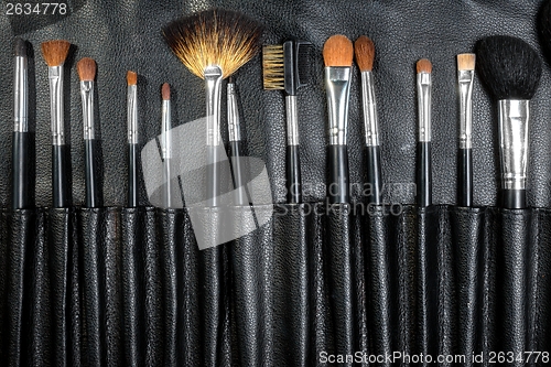 Image of Makeup Tools in a leather case