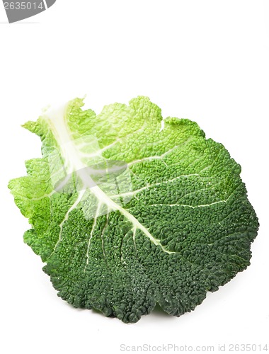 Image of Cabbage leaves