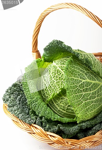 Image of still life of fresh cabbage