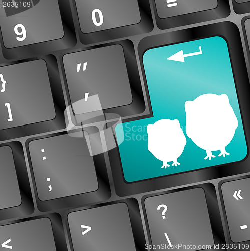 Image of owl sign on computer keyboard key button