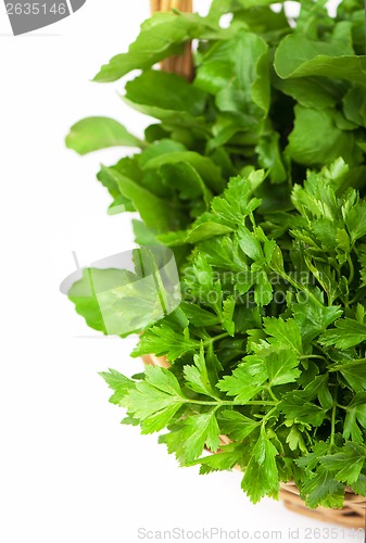 Image of herbs