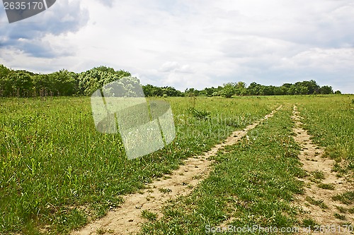 Image of Rural road among the fields