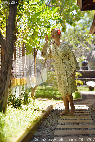 Image of spa treatment at tropical resort