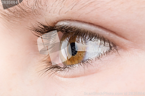 Image of teenager eye macro