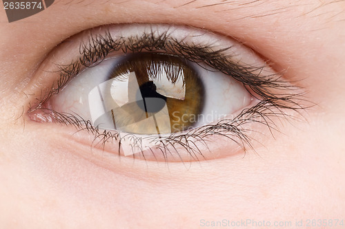 Image of teenager eye macro