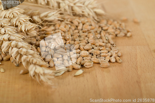 Image of pile of organic whole grain wheat kernels and ears