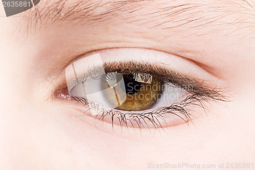 Image of teenager eye macro