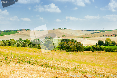 Image of Val d'Orcia landscape