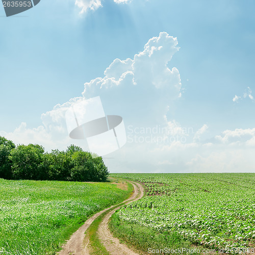 Image of winding rural road in green grass and light clouds