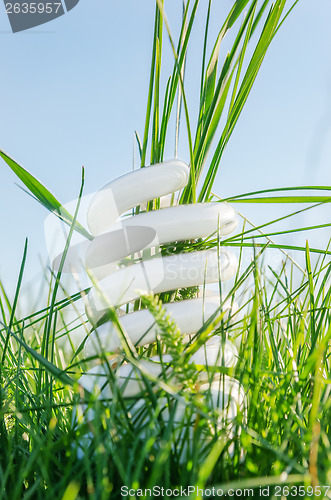 Image of white eco bulb in green grass