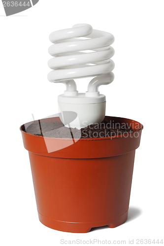 Image of Eco bulb