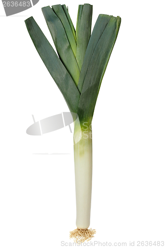 Image of Fresh leek isolated on white