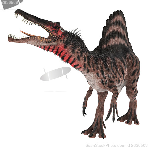 Image of Dinosaur Spinosaurus