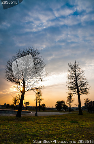 Image of Park at Sunset