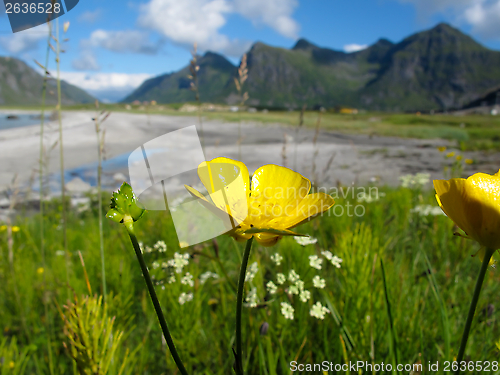 Image of Norway landscape