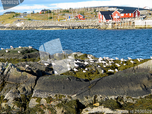 Image of Norway landscape