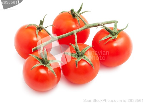 Image of Tomatoes