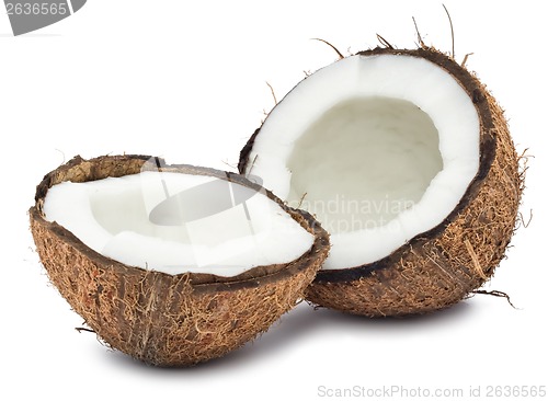 Image of Coconut