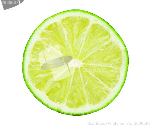 Image of Lime