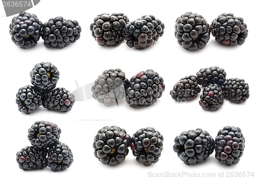 Image of Blackberry