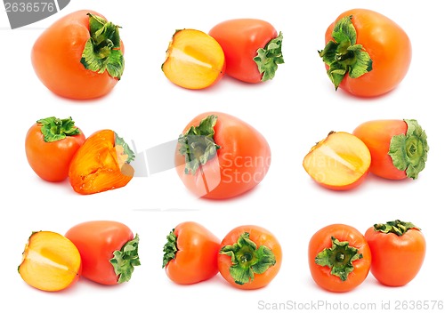 Image of Persimmon