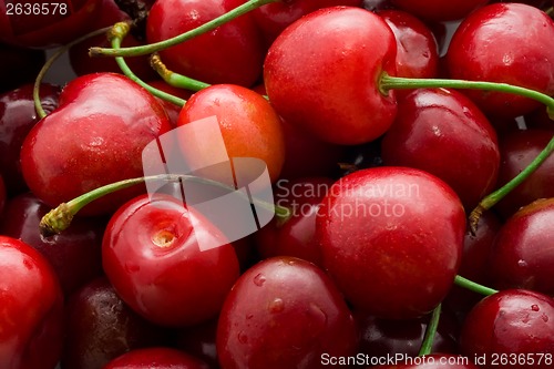 Image of Red cherry