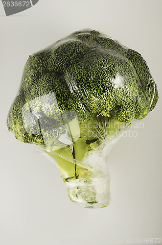Image of broccoli cabbage in a plastic bag