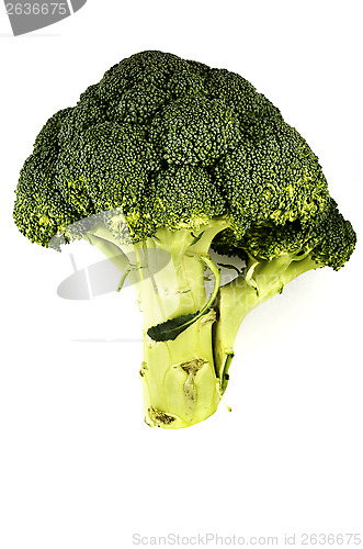 Image of fresh cabbage broccoli on a white