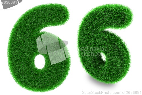 Image of Number six made of grass