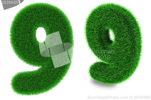 Image of Number nine made of grass