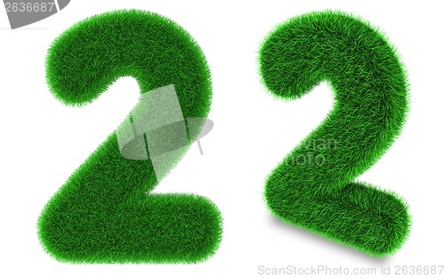 Image of Number two made of grass