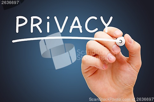 Image of Privacy White Marker