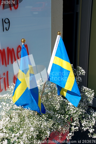 Image of The swedish entrance